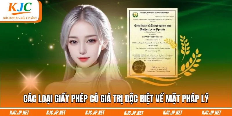 Các loại giấy phép có giá trị đặc biệt về mặt pháp lý